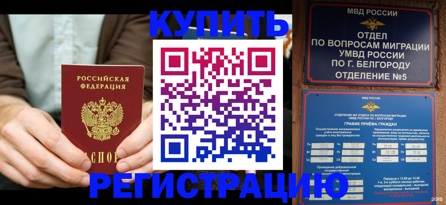 прописка 2025 в Гаврилов-Яме